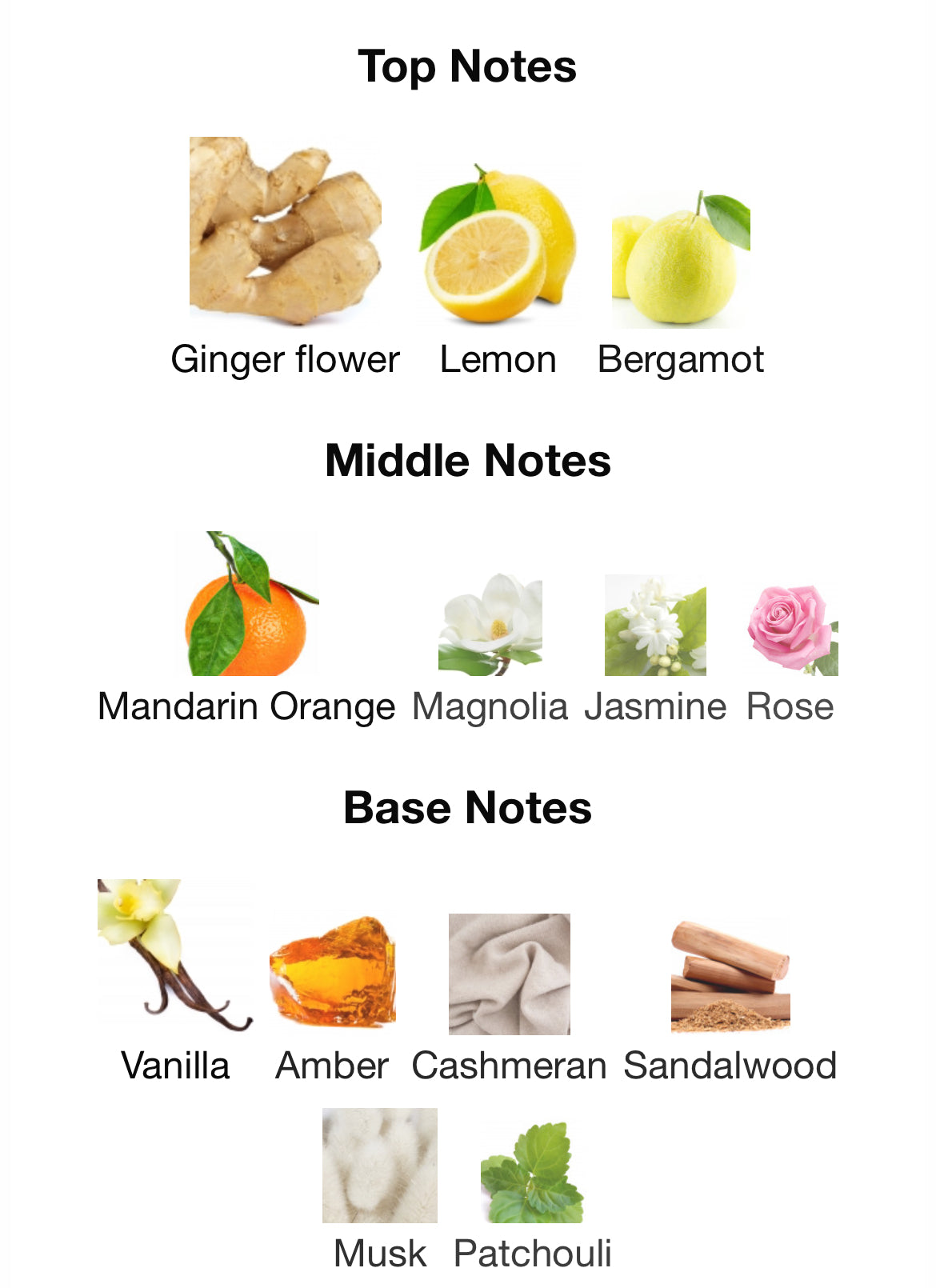 Ingenious Ginger Goldfield & Banks Australia