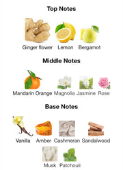 Ingenious Ginger Goldfield & Banks Australia