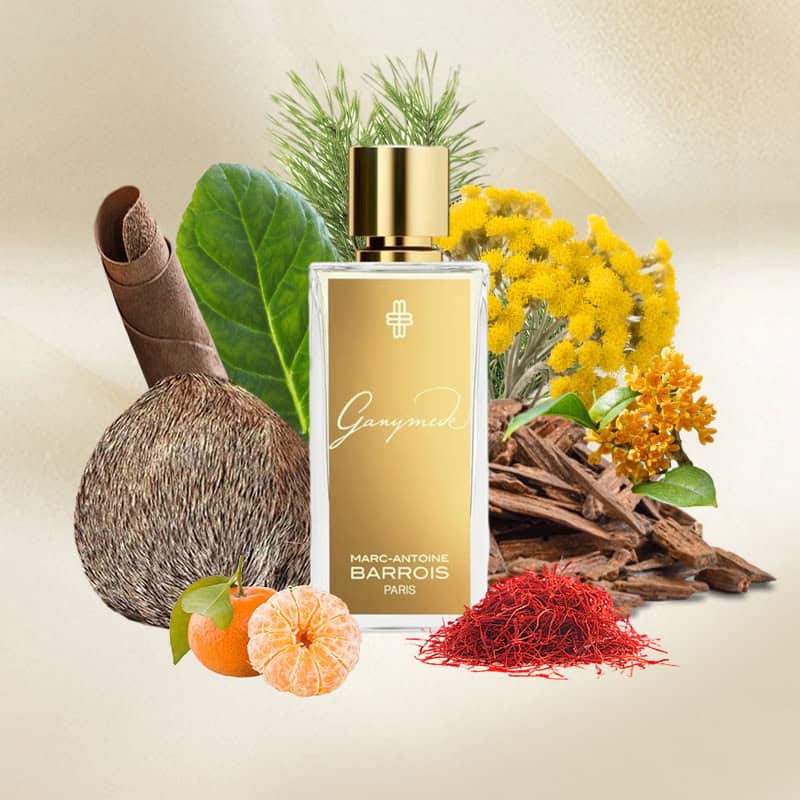 Ganymede fragrance decant by GleoFragrance