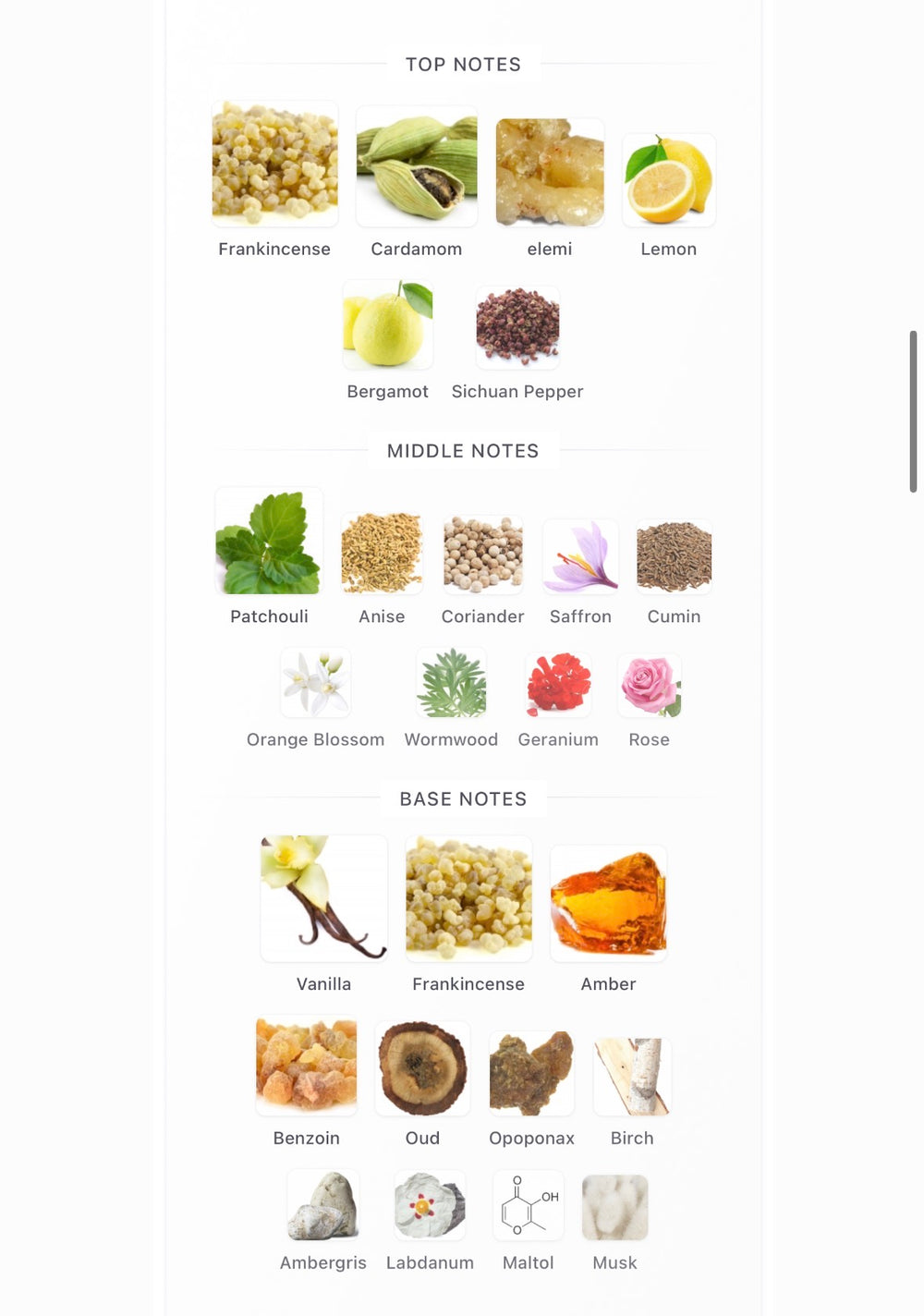 Amouage Outlands