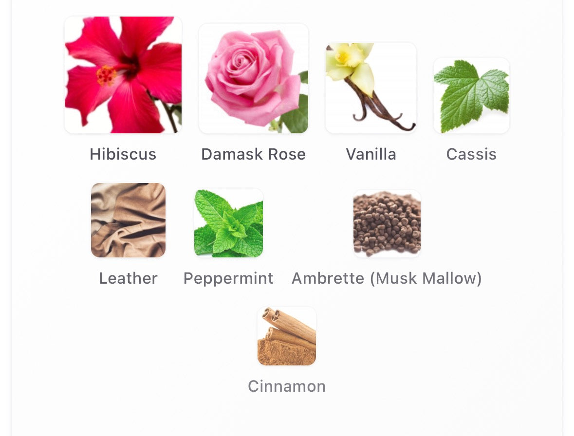 Maison Crivelli Hibiscus Mahajad