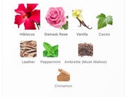 Maison Crivelli Hibiscus Mahajad