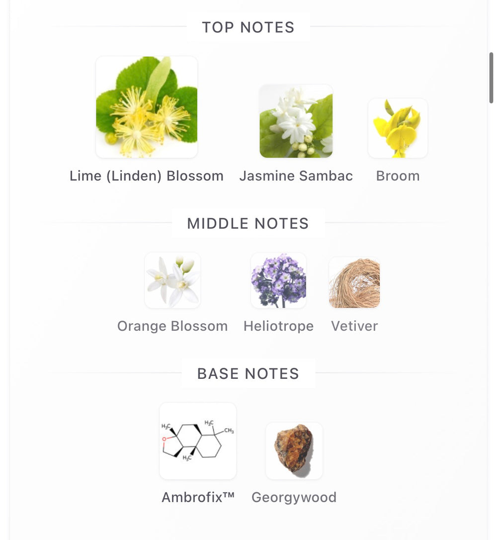 Tilia Marc-Antoine Barrois