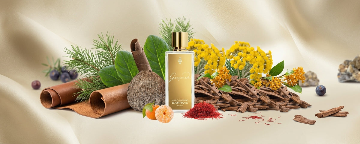 Ganymede fragrance decant by GleoFragrance
