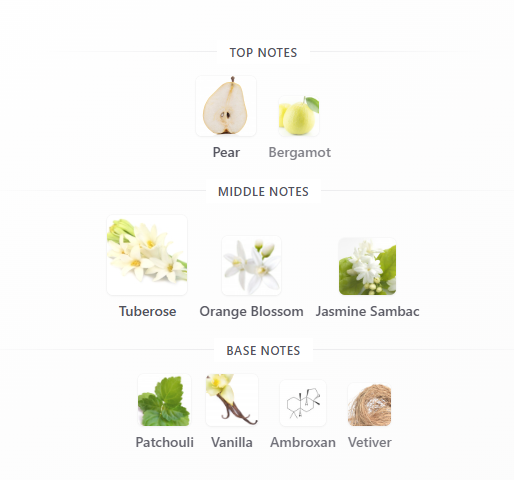 Tilia Marc-Antoine Barrois